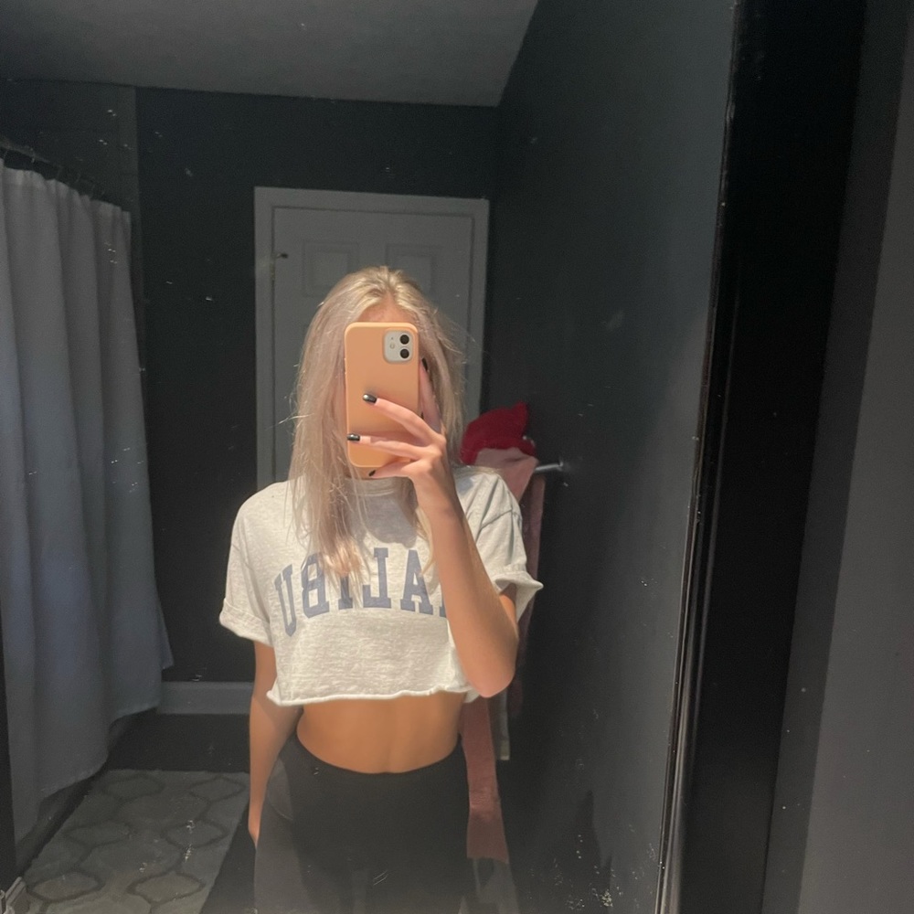John Galt Malibu Cropped Tee in heather grey
